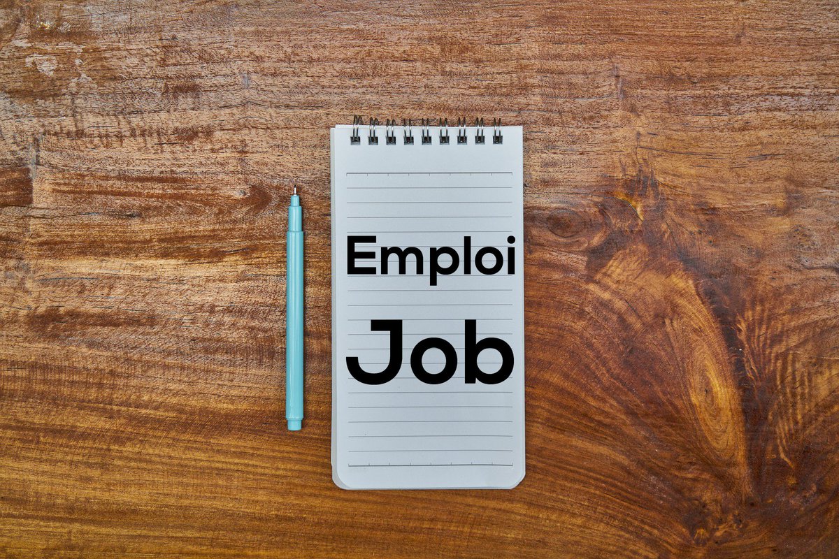 CDETNO's tweet photo. Le @NACCNT recrute!
-Agent(e) aux #finances et à l’#administration
-Agent aux #communications et #graphisme https://t.co/WCsLNBr1R8 #emploi #emploisaucanada @DestCan #DestinationTNO https://t.co/dHP6f8uwTt