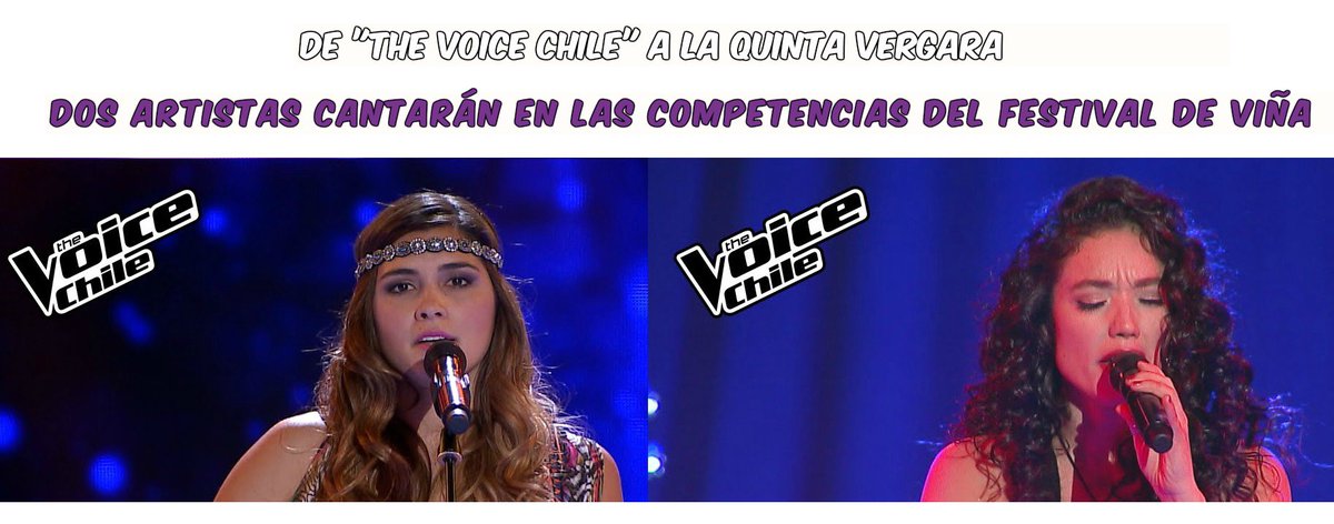 TeCache.cl tweet media