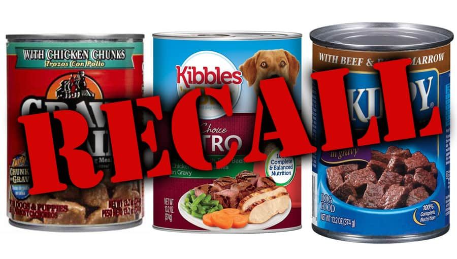 CanineCCC's tweet photo. Dog Food Recall!  #dogdaycare #doggiedaycare #dogs #dog #pets #seacoastnh #dogsofnh #canines #stratham #nh 
https://t.co/YVusczcQNm https://t.co/hneoQuwRKx