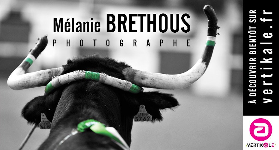 VertikaleDeco's tweet photo. 🔜 BIENTÔT SUR https://t.co/338hEhYMLX ‼️
 Les photos de Mélanie Brethous Fédération Francaise de la Course Landaise, qui vit sa passion pour la Course Landaise à travers son objectif 📸 #CourseLandaise
 A découvrir bientôt sur → https://t.co/caLztYR18O https://t.co/4la9I4Qc9t