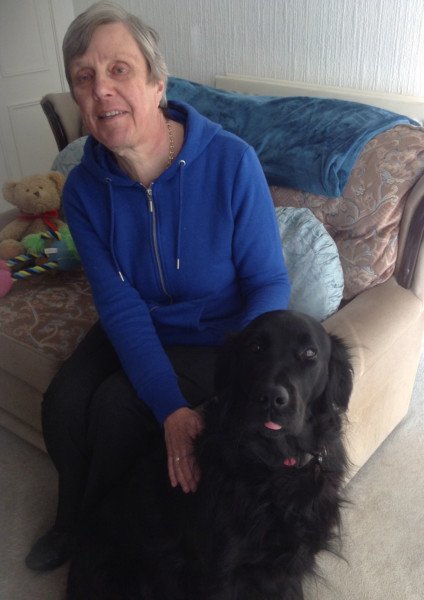 A visually-impaired resident is searching for a volunteer-sighted buddy to accompany her and her guide dog Bess.
Read more at: newspostleader.co.uk/news/jean-sear…