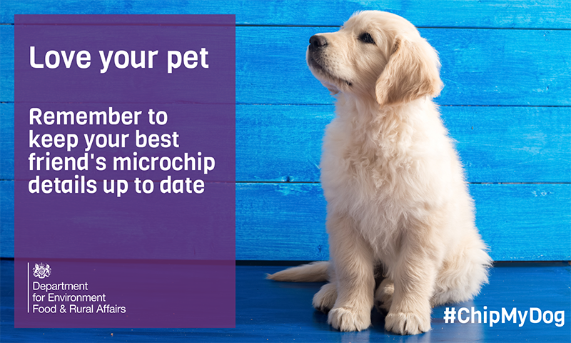 DefraGovUK's tweet image. Love your pet – remember to keep your best friend’s microchip details up to date #CheckYourChip gov.uk/get-your-dog-m…