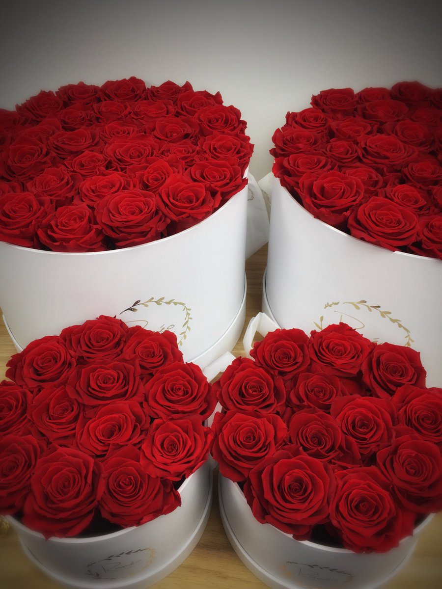 shop_romeo's tweet photo. Red addict 🌹
https://t.co/vai5mvGfQh
#redroses #redaddict #roses #flowerbox #roseeternelle #flowers #romeo #romeofleurseternelles eurseternelles #love #fatale #charmeuse #qualite #madeinfrance #madewithlove #raffinement #homedesign #homesweethome #gentleman #romantique https://t.co/oDEJ4eJbgJ