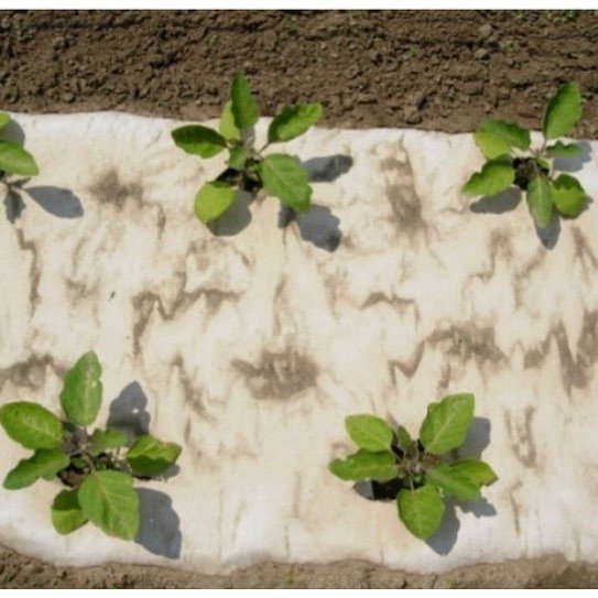 #gartenglück ift.tt/2ET881G