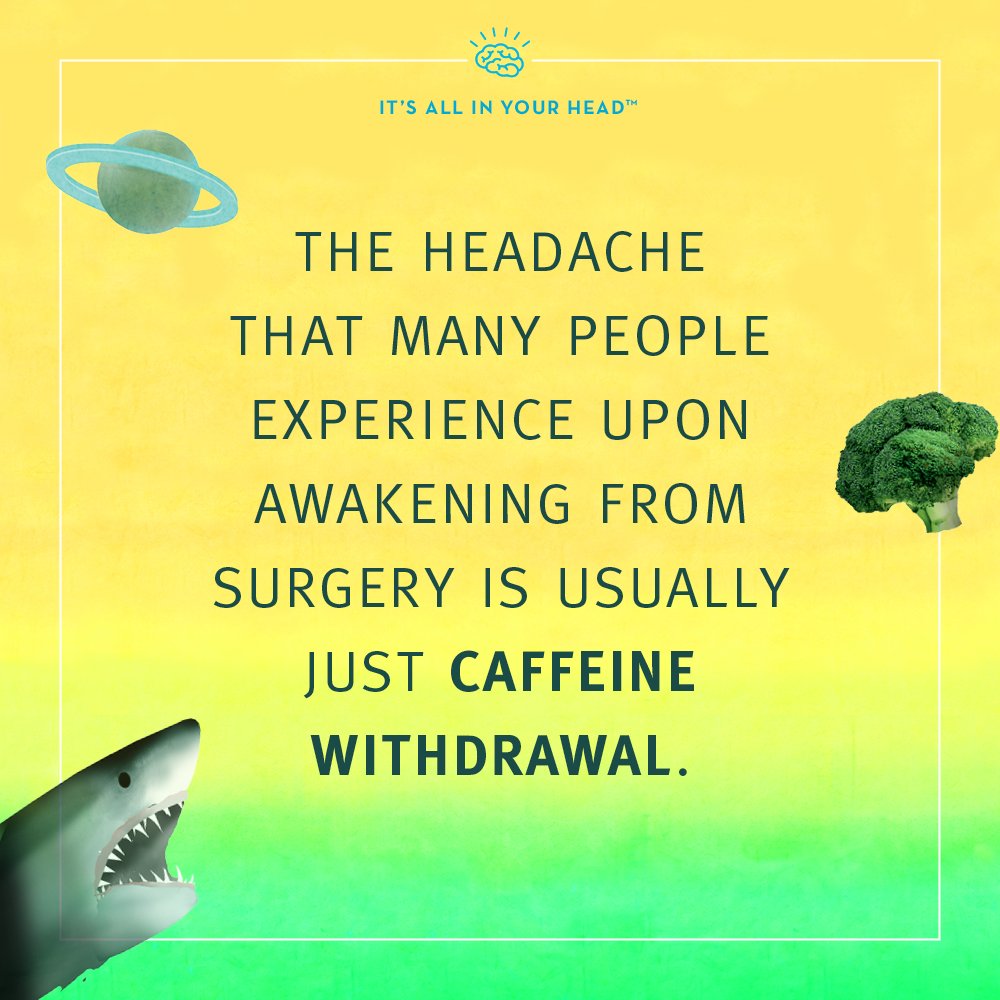 It's All In Your Head tweet media