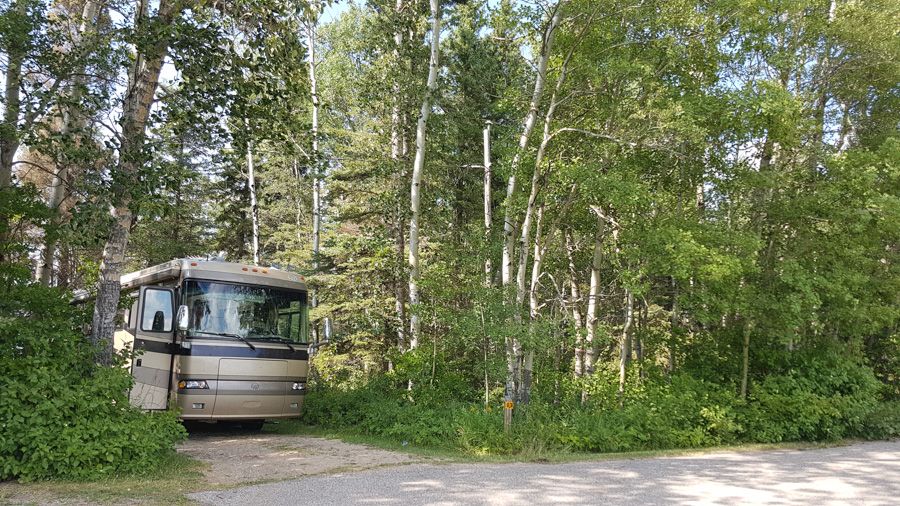 explorking's tweet photo. Everyone told us that we wouldn't be able to spend time in parks because Explorker2 is too long - WRONG. Explorker2 is a nimble machine. https://t.co/7S55yZCYzP #explorking #RV #RVing #camping #roadtrip #motorhome #travel #rvliving #wanderinglife #GoRVing #vanlife https://t.co/qgESokPZqp