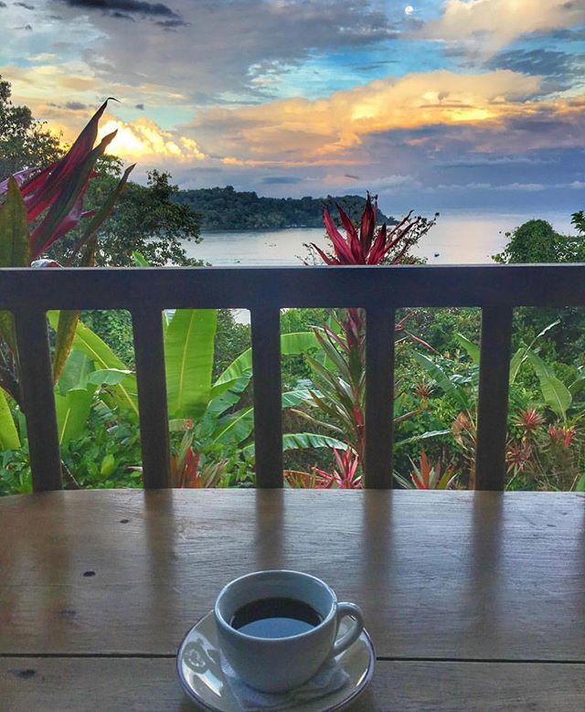 costaricaexprts's tweet photo. These slow #Monday mornings! โ๏ธ ๐
A gorgeous start to the day from Drake Bay on the Osa Peninsula ๐ธ via @anvita_travels! #costaricaexperts #costarica #drakebaby https://t.co/JpLXxHvOHz https://t.co/DcOWVbVdHp