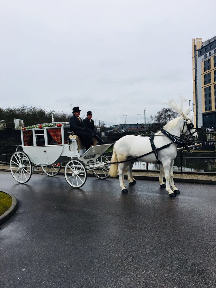 Nottingham Arena PI tweet media