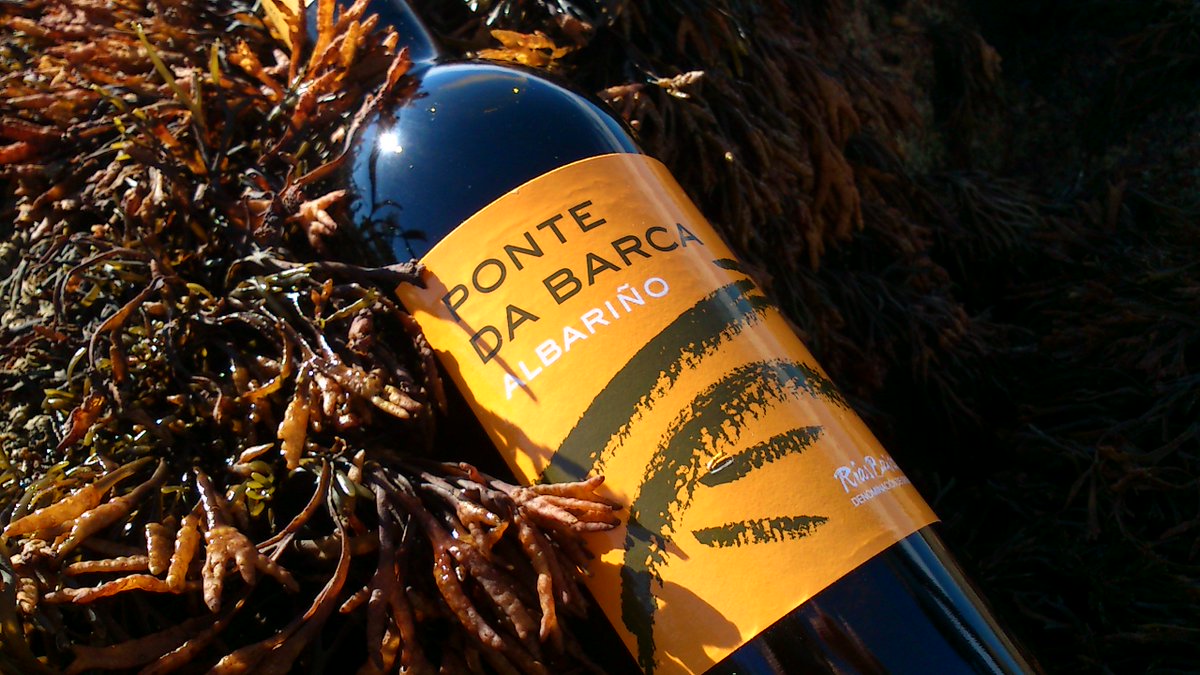 BodegasChaves's tweet photo. Ponte da Barca #albariño is from the #Salnes Valley. A magical land with a unique
microclimate where our vineyards have thrived under sunshine and shadows caressed by the #Atlantic breeze for over half a century.
#doriasbaixas #purechoice #riasbaixaswines #EEUU #winelover #wine https://t.co/bV6lYkHeK9