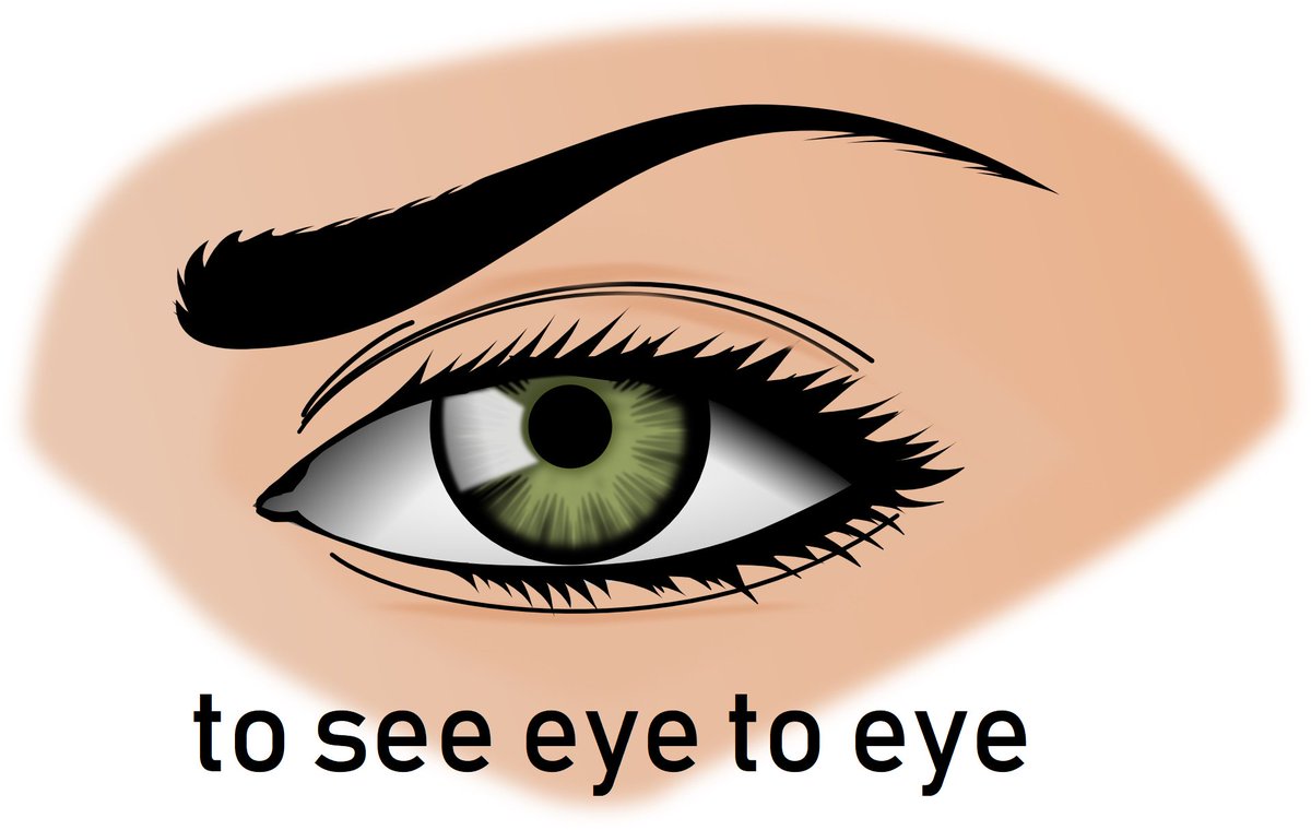 ProfLingo's tweet image. to see eye to eye = to agree with someone #english #EnglishExpressions #englishidioms #englishclass #LearnEnglish #TOEFL #TOEIC #EFL