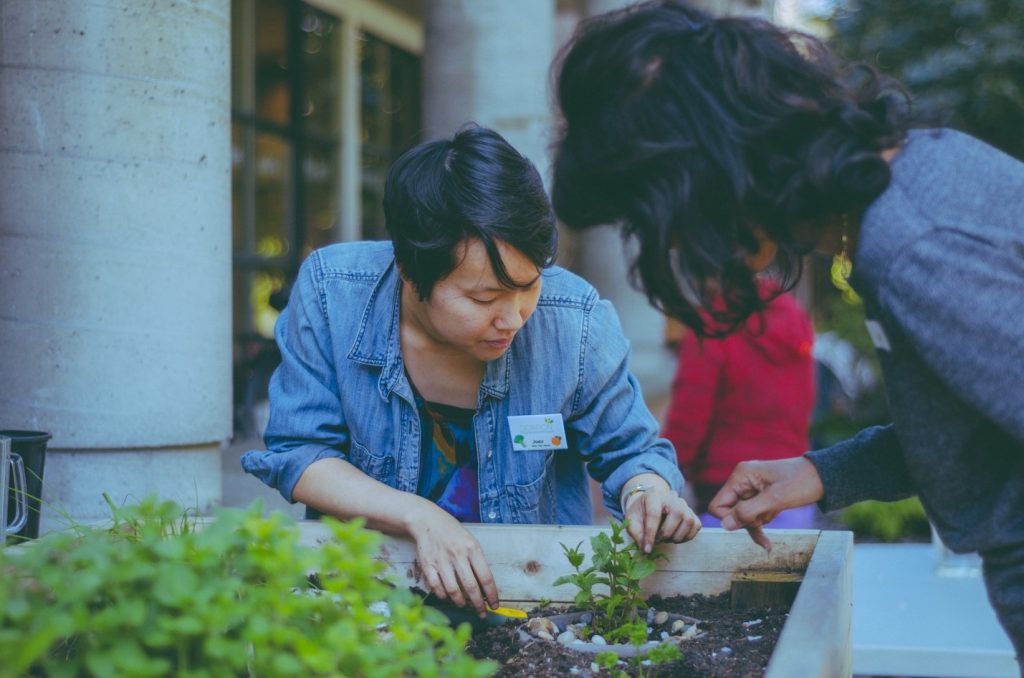 VanFoodNetworks's tweet image. Did you know you can start planting herbs indoors at this time of year?
Check out this how-to guide on growing herbs from @GordonNHouse ow.ly/In9n30hGimq