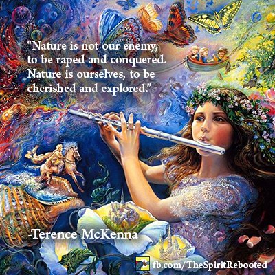 SpiritRebooted's tweet photo. Is our relentless mining of resources really in our best interests? #terencemckenna #nature https://t.co/cj16PjPRVC