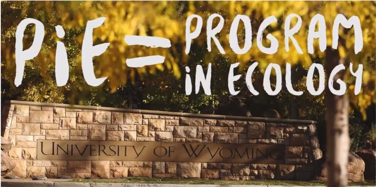 UW Program in Ecology tweet media