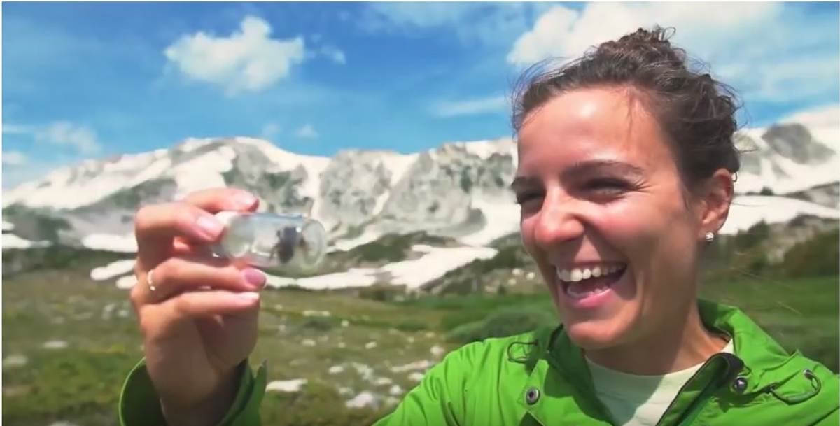 UW Program in Ecology tweet media