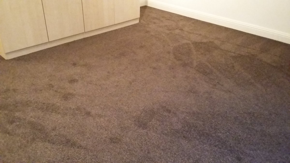 aftfloor's tweet photo. Cosy looking #carpets for a chilly evening all recently fitted 🙂
#winter #homeinterior https://t.co/pxuVUeq4Kh