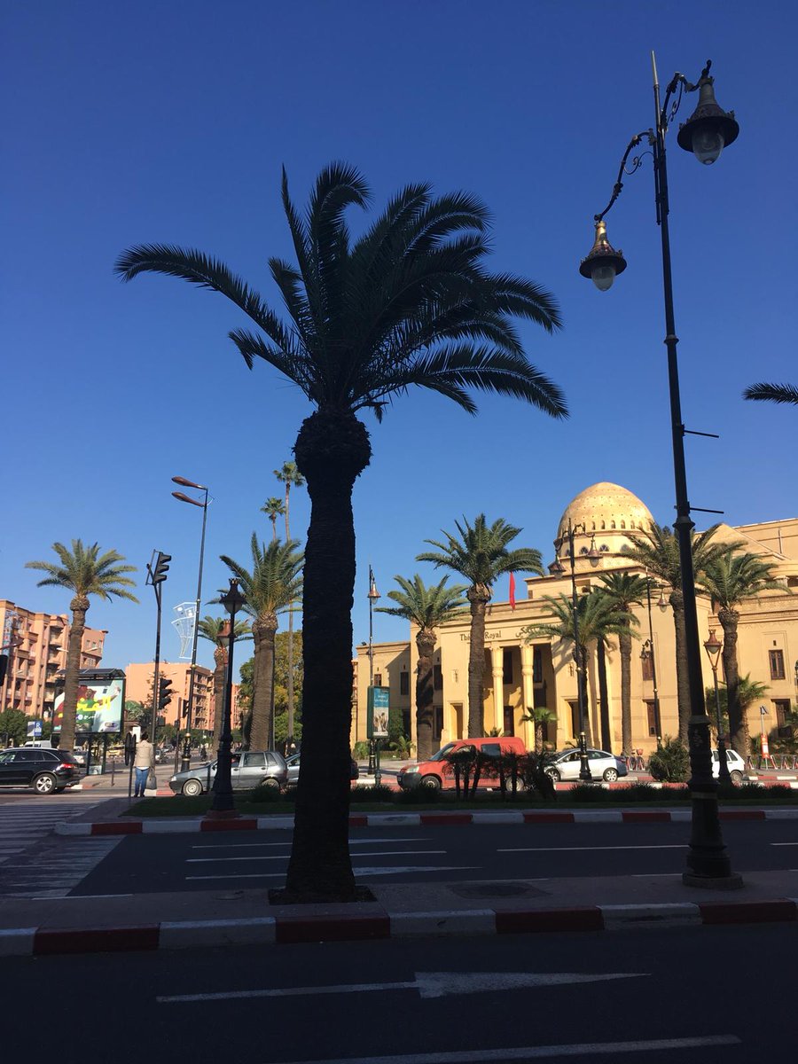 Kings_Soto's tweet photo. Hello from Mr. P., Ms H., and all the students in sunny #Marrakech!  #Moroccotrip #Morocco #Marrakechtrip #TripsWeek #EnrichmentWeek #trekking #trekkingtrip #travel https://t.co/x1p5dcY7ez
