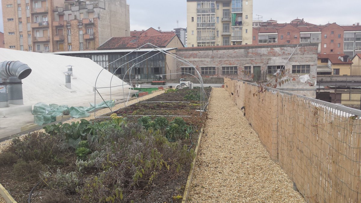 Viaggio tra i progetti di Co-City: <a href="/OrtiAlti/">OrtiAlti</a> promuove la creazione di un nuovo hub di quartiere Casa Ozanam a Madonna di Campagna