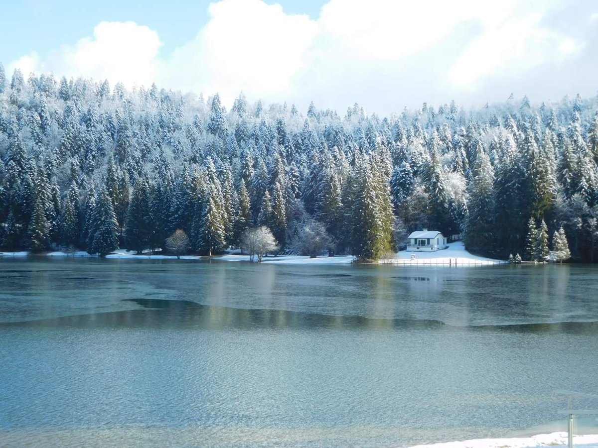 BereniceOBADIA's tweet photo. Lac Genin #Oyonnax #Tourisme #Ain #LacGenin #Winter2018 #Peaceful https://t.co/e6ypVjbEUy