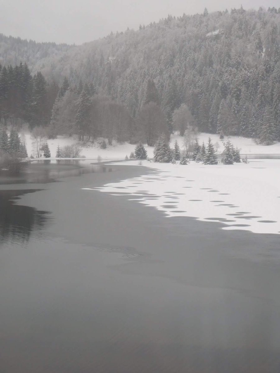 BereniceOBADIA's tweet photo. Lac Genin #Oyonnax #Tourisme #Ain #LacGenin #Winter2018 #Peaceful https://t.co/e6ypVjbEUy