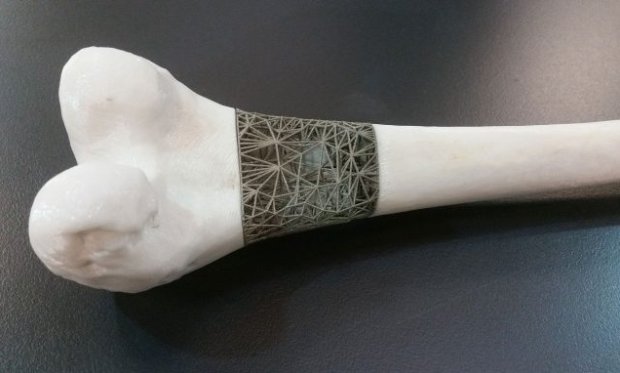griottot's tweet photo. #3DPrint Bone regeneration #3D4Health Miami University Researchers Work Together to 3D Print Better Bones | https://t.co/B3DrQ1Je3x | The Voice of 3D Printing / Additive Manufacturing https://t.co/uTciaDEDDK @LionelREICHARDT https://t.co/s6f8tTD8fF