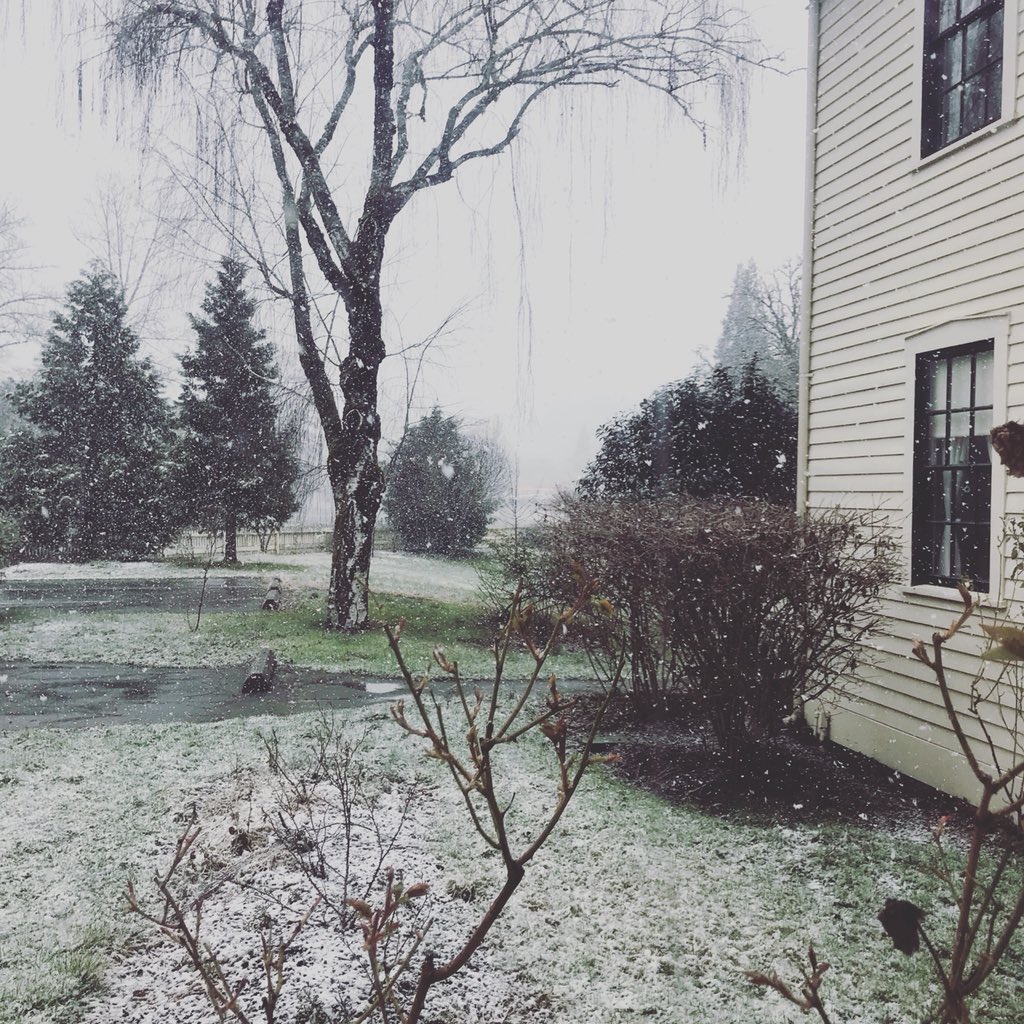 wolfcreekinn (@wolfcreekinn1) on Twitter photo 