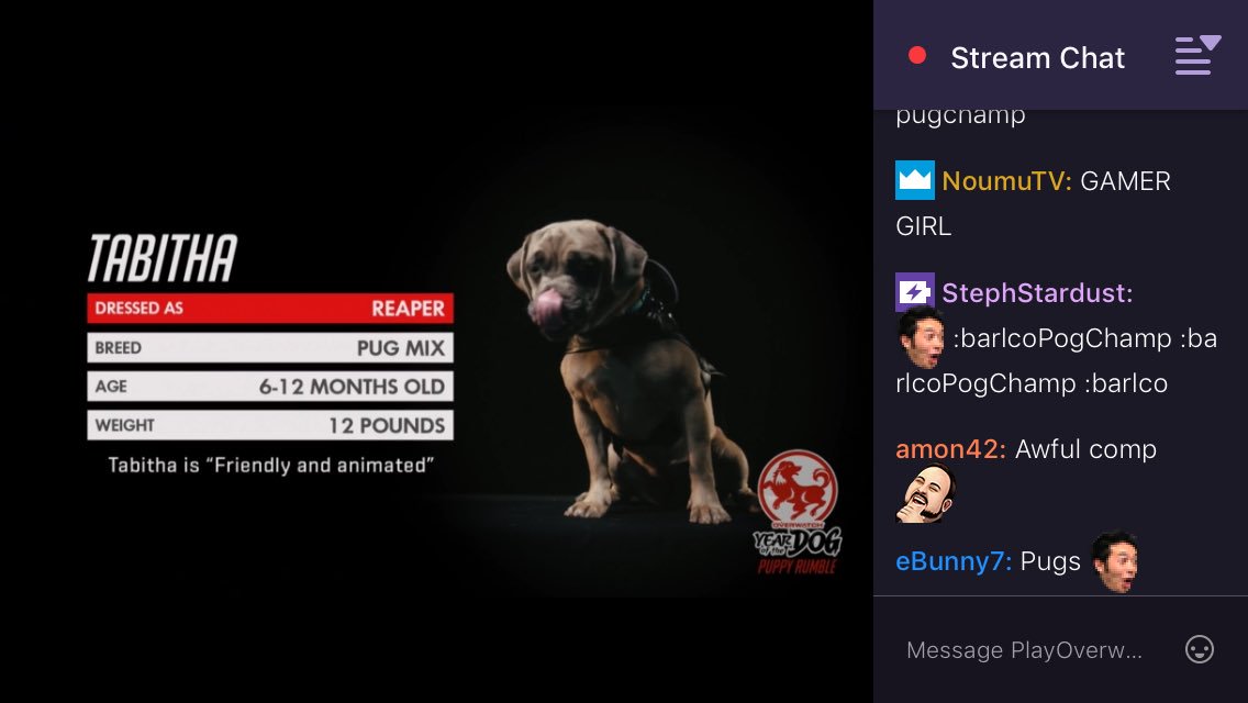 JEFFERSON IS McDog #puppyrumble #OverwatchDogs