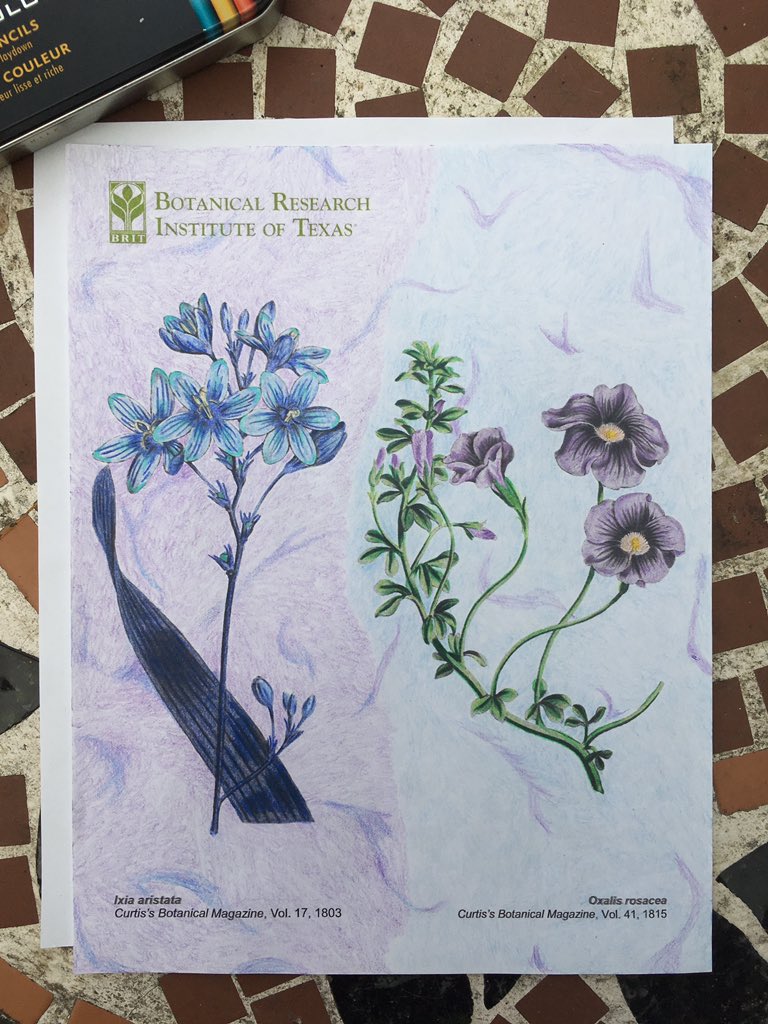 fwbotanicgarden's tweet image. We love seeing our coloring book in action! It's appropriate for all ages and on all continents. Download your own via our website: brit.org/color-our-coll… #ColorOurCollection