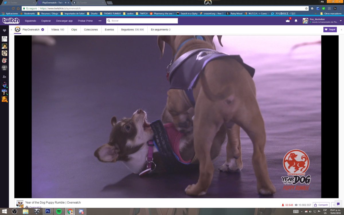 symbra is real #puppyrumble #Overwatch