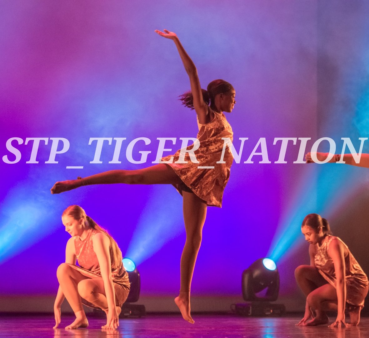 STP_TIGERNATION's tweet photo. Light as a feather... https://t.co/F862O5bJHs