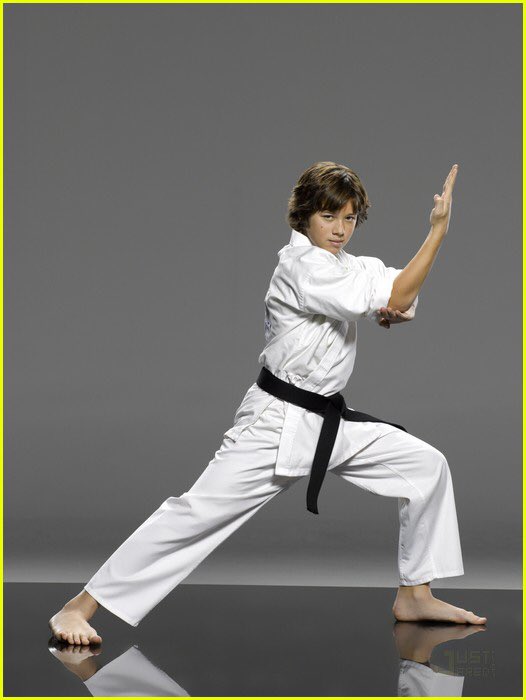 Лео ховард карате. Что значит человек в ударе. Уширо маваши. Что значит человек в ударе. Удар кулаком самооборона.