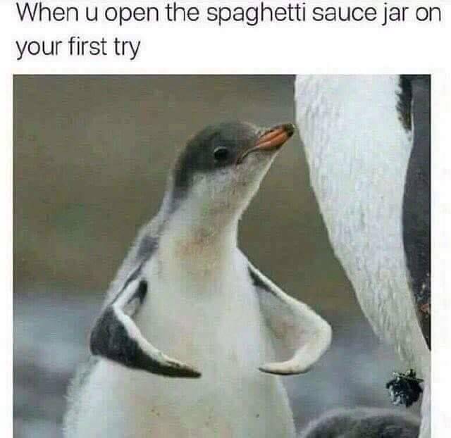 WholesomeMeme's tweet photo. https://t.co/TAEdSyIPet