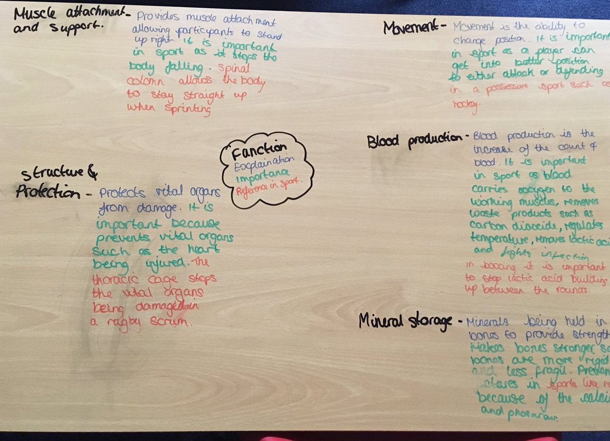 Mr_JWN's tweet photo. A great #GCSEPE Revision session after school with Year 11 looking at the importance of the #SkeletalSystem and its link to Injury in sport. #Edexcel #Dedication #CorrectMindset ๐ฅ๐ https://t.co/1qXZTSBruO