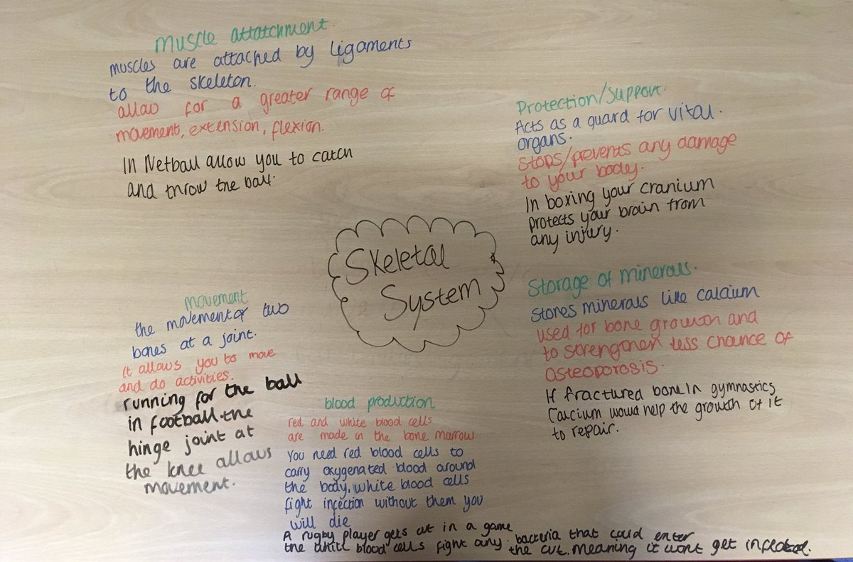Mr_JWN's tweet photo. A great #GCSEPE Revision session after school with Year 11 looking at the importance of the #SkeletalSystem and its link to Injury in sport. #Edexcel #Dedication #CorrectMindset ๐ฅ๐ https://t.co/1qXZTSBruO