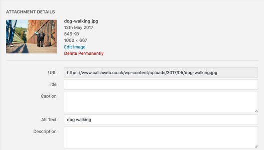 Making the most of WordPress website images: alt text SEO and accessibility goo.gl/UbAZUd #Seo #Accessibility