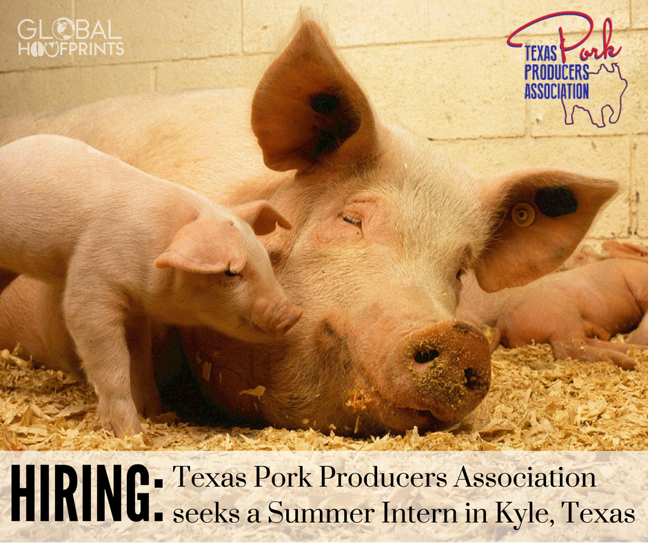 CharmayneRoams's tweet photo. #Hiring: @TexasPork is seeking a 2018 #SummerIntern to join their team in Kyle, #Texas. Applications are due March 1. #AgComm #AgJobs @AgGradNation 

Learn more and apply: https://t.co/dCmeIoAQHG. https://t.co/TObBYOBW4L