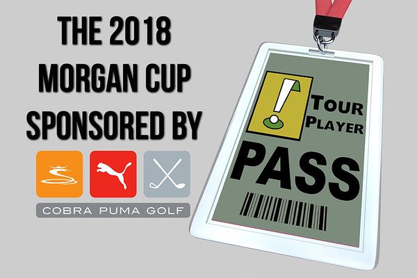 Puttin4Bird's tweet photo. Hey @Yagley_Cobra you ready to roll in the 2018 #THPMC against @littlerrat and @FTKong?  It's coming!  @cobragolf @THPGolf https://t.co/XoKNRaI45n https://t.co/EyzonIJmi9