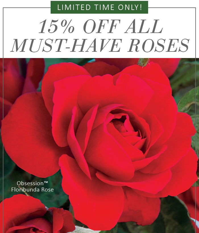 JacksonPerkins's tweet photo. 15% Off Must-Have Roses! Try these favorites at a steal for a limited time! https://t.co/h3VKdwTGYs #roses #rosechat #JProses https://t.co/RAuY5j8YKj