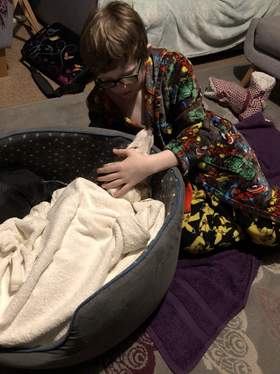 m3gKay's tweet photo. Rest in peace jasper, love this picture of you and Memphis, truly were his best friend https://t.co/yGzNu1bix8