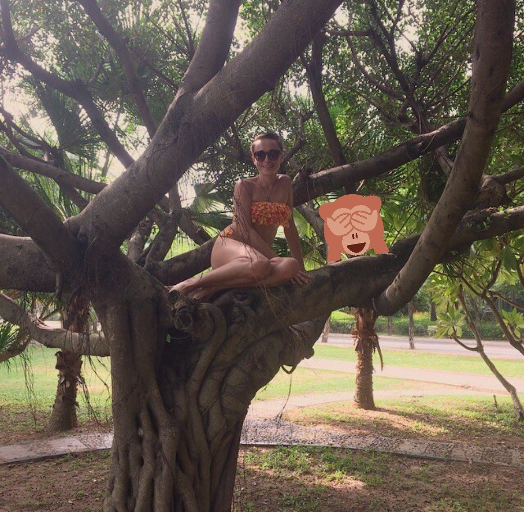 yntenko's tweet image. 