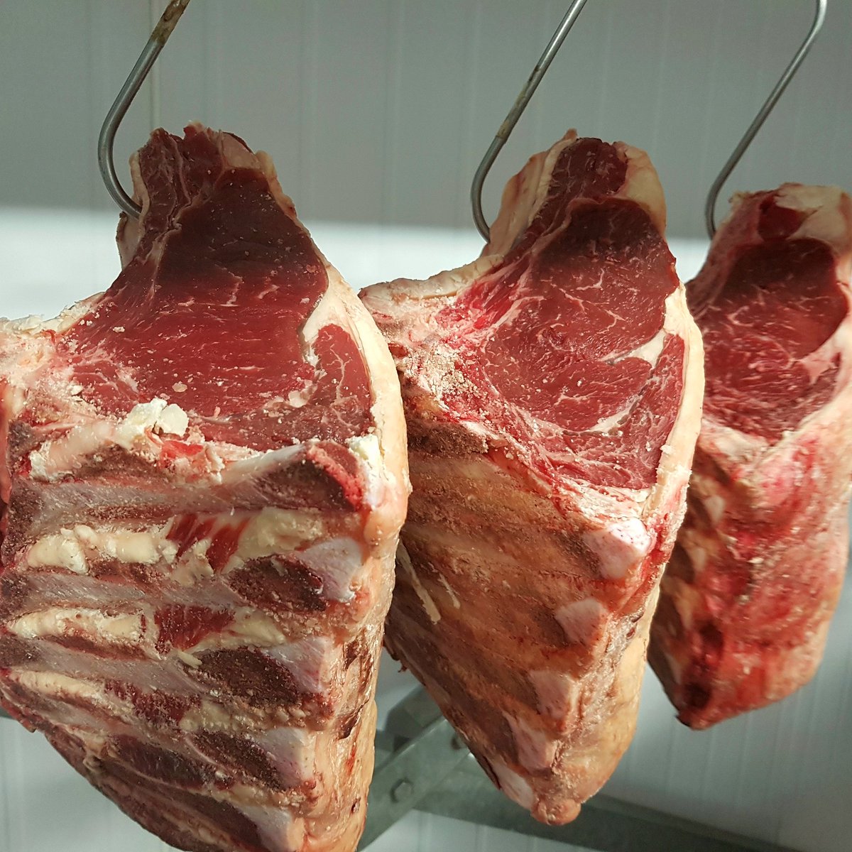 MarketButchers's tweet photo. What's this? Oh Only some of the best prime ribs in Ireland. At least another 10-12 days though before they are ready for steaking. https://t.co/MhktaE9ifw
