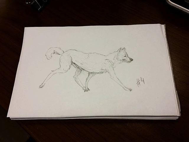 live_love_maria's tweet photo. Wolf sketch 4 for my #AWolfADay
Running wolf ๐บ catching up, just like me.
This is for a fanart comic project I am working on. Find out more on my blog (on my page - link in bio) https://t.co/BKa5Q6jMN3 https://t.co/wp7S3uPt4h
