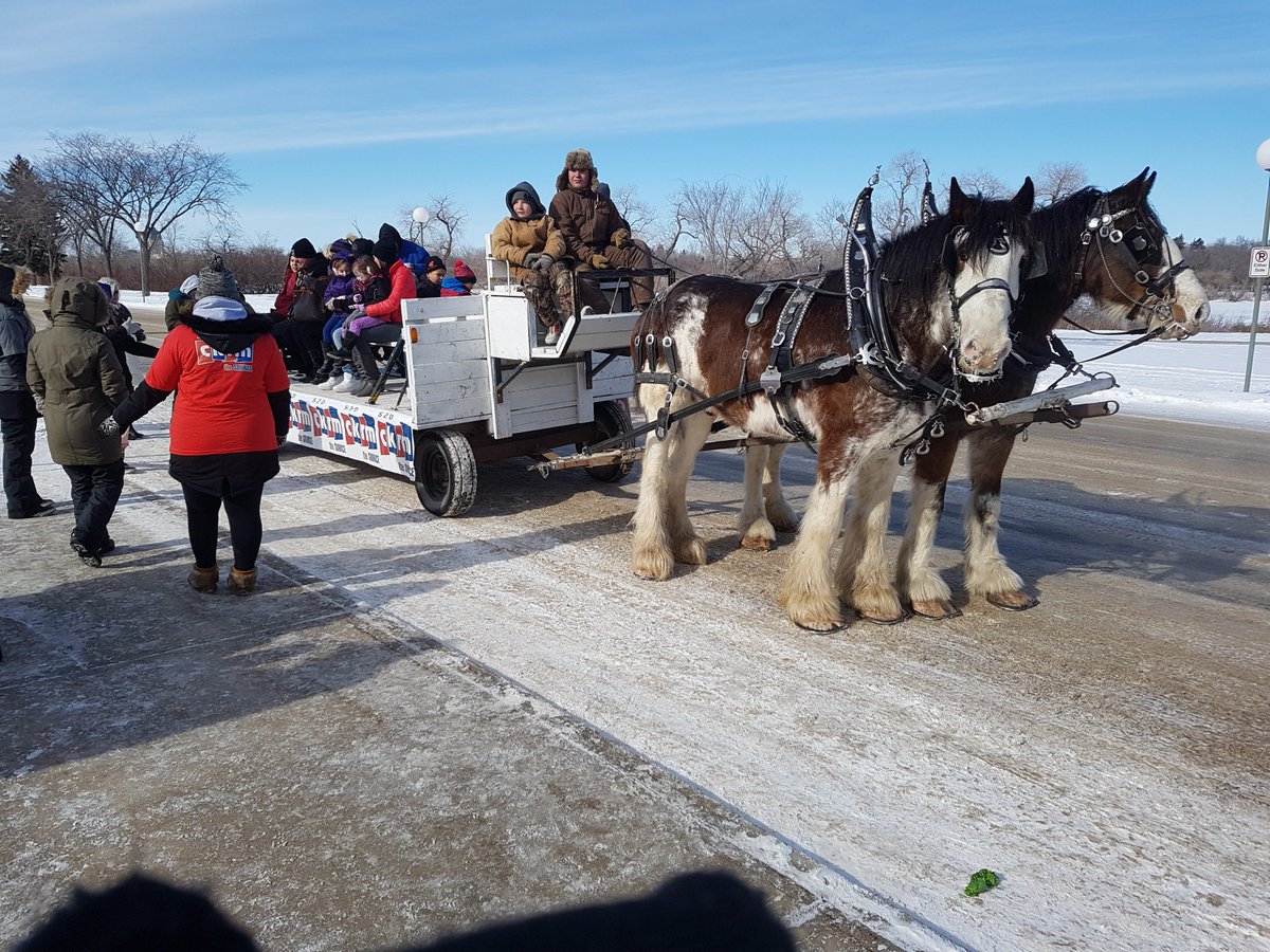 CodyGlydon's tweet photo. Excellent time @waskimoregina! Huge line up for the horse drawn wagon rides. #waskimo18 https://t.co/v3OTanhPwZ