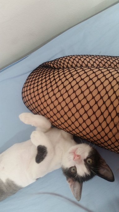 #enjoy #enjoyme #webcamgirl https://t.co/cSgYyt7Vo4<a href="/tag/enjoy"class="tags">#enjoy</a><a href="/tag/enjoyme"class="tags">#enjoyme</a><a href="/tag/webcamgirl"class="tags">#webcamgirl</a>