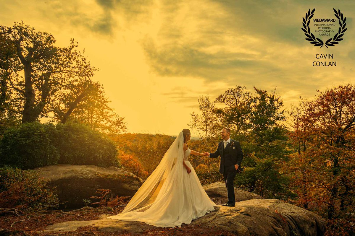 gavin conlan photo tweet media