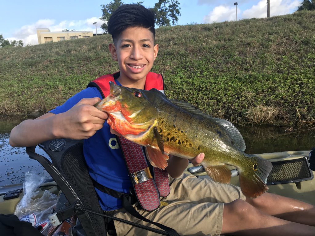 PushinWaterFish tweet picture