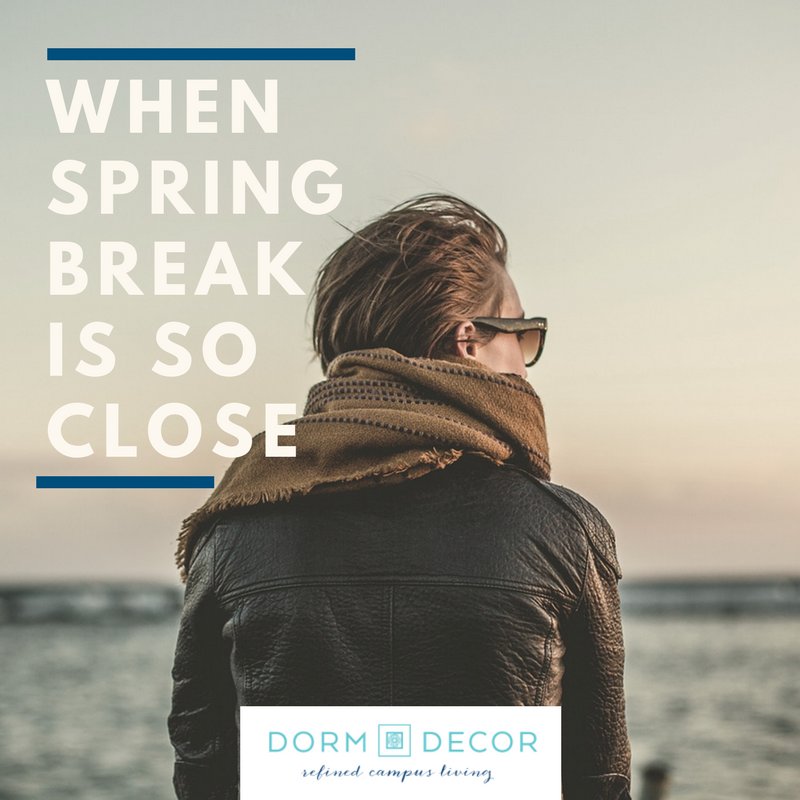 _DormDecor's tweet photo. Stay Strong - It's Almost Spring Break! #youcandoit #icandoit #wecandoit #staystrong #springbreak #bestbreakever #dormshoppingmakeseverythingbetter #dormdecor #dormedup #dormroomexperts https://t.co/GkWhzxrDKE