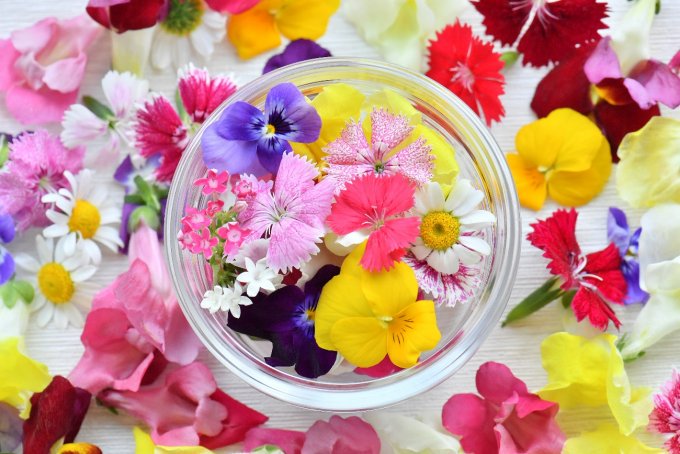 New 食べられるお花 エディブルフラワー があると料理やドリンクがパッと華やかになる お茶に浮かべたり お花を入れた水を凍らせるだけでなんだか少し気分が上がります 手土産 ギフト情報配信中 Ippin イ Scoopnest