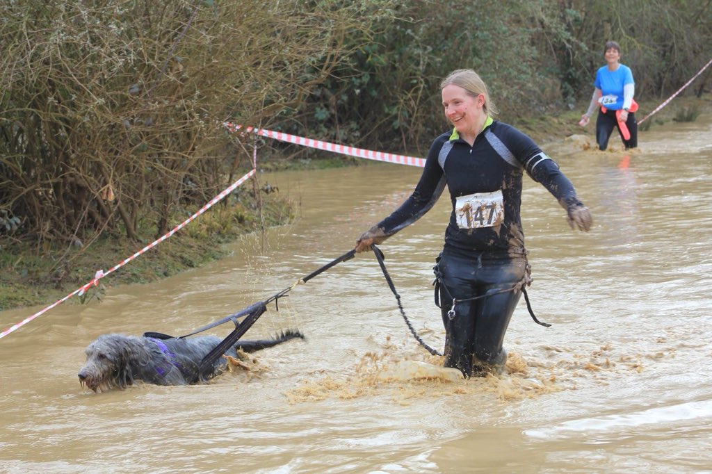 k9_runner's tweet photo. When Canicross turns to doggy paddle. Brighton and Hove Canicross Runners proving they’re tough chicks! #nomessing #meanbuisness #trailrunning #mudrun #canicross #rescuedogs 
💪🏻🏃🏼‍♀️💪🏻🏃🏻‍♀️💪🏻🏃‍♀️💪🏻🏃🏼‍♀️💛 https://t.co/uaGsLqxMDZ