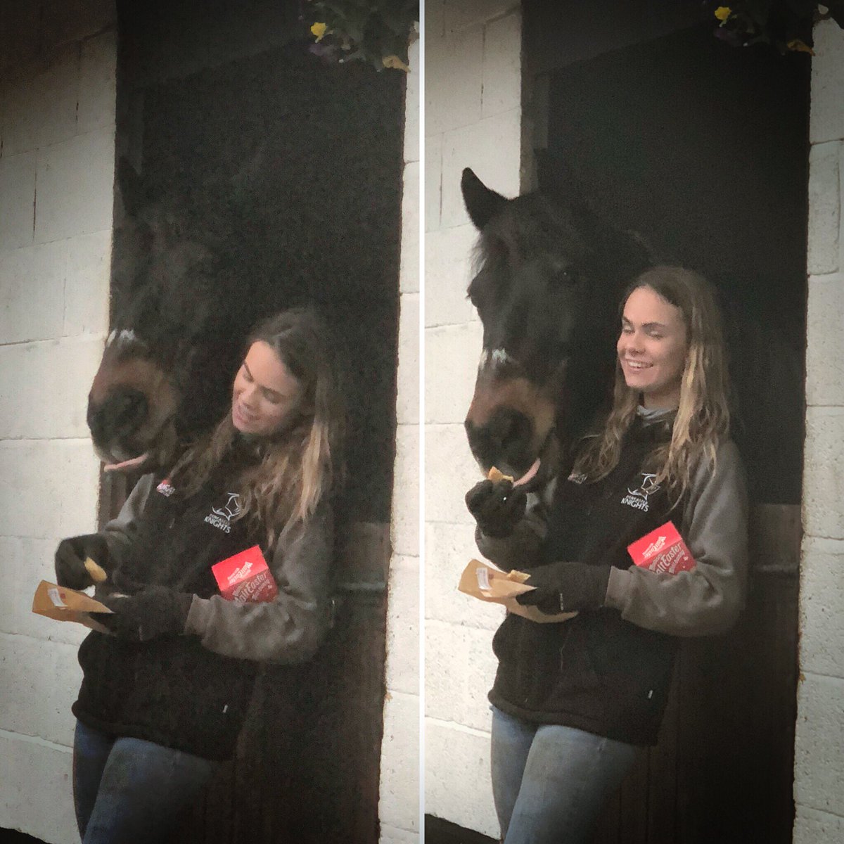 Yorkshire Equestrian Centre Yorkshireec Twitter