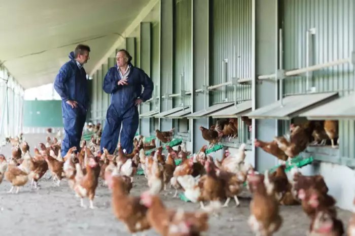 Morrisons announces acquisition of Yorkshire egg business Chippindale Foods

trib.al/g7h4Csm